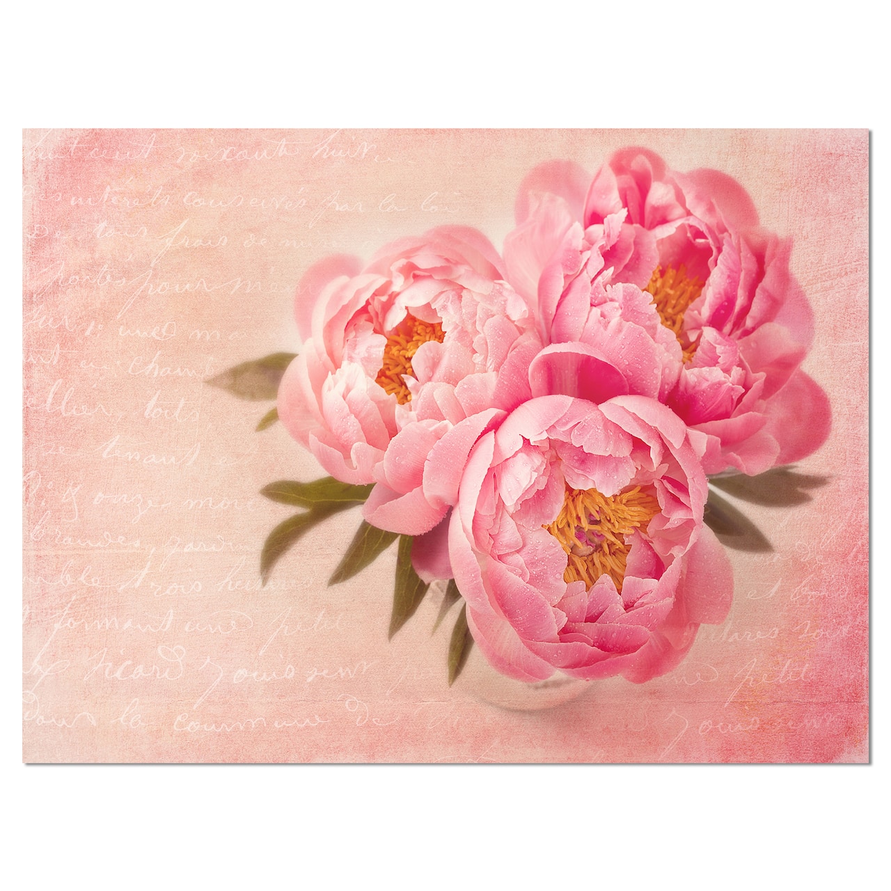 Designart - Peony Flowers against Scribbled Back - Floral Canvas Art Print